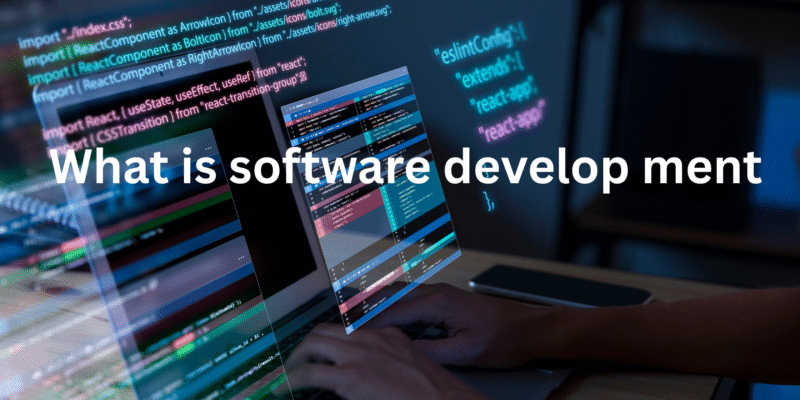 software development